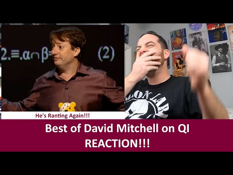 American Reacts BEST OF DAVID MITCHELL on QI! He's Always Making Stephen Fry Laugh! REACTION