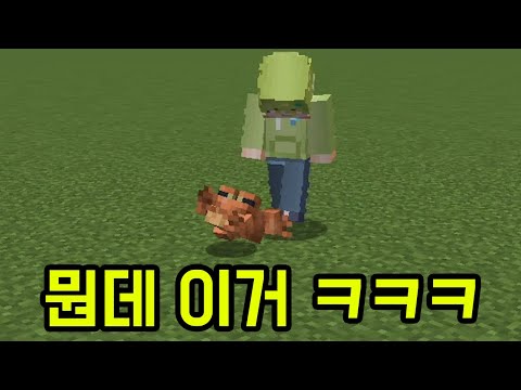 겁내 쩌는 개구리 좀 봐(마인크래프트)