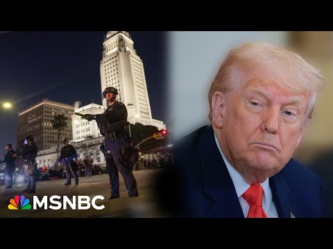 'Slows everything down': Trump hurts his own economy again with ICE raids