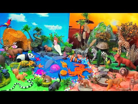 Explore the Animal World 🌊🌴 | Jungle, Savanna & Ocean Adventure