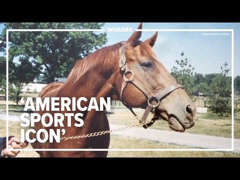 Secretariat’s death revealed why he was ‘tremendous machine’