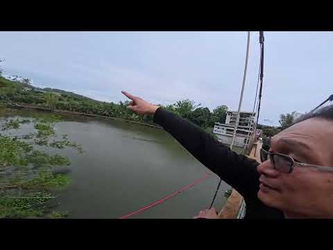 114 11 30~12 01 機車遊