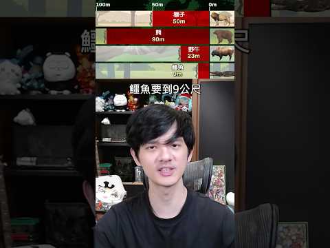 你知道要離動物多遠才安全嗎 ? ?