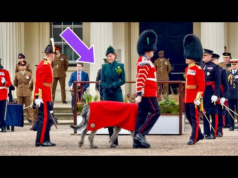 Adorable Moment Princess Catherine gives Irish Wolfhound his own special Shamrock ☘️