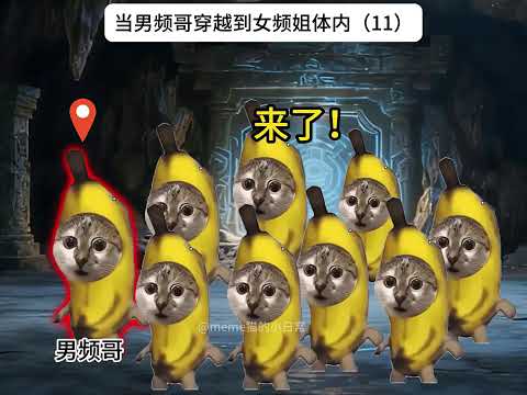 32分钟大合集《哥姐日常》#cheems #cheems小剧场 #搞笑 #funny #熱門