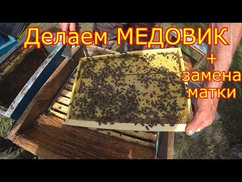 Делаем МЕДОВИК + ЗАМЕНА МАТКИ! Главный взяток