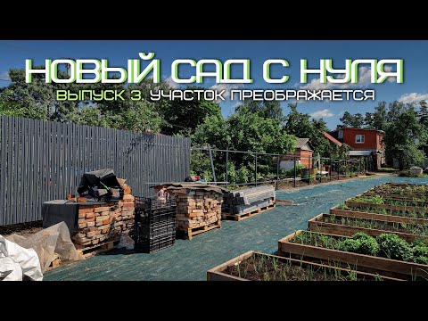 Прошло 3 месяца. Что успели сделать | НОВЫЙ Сад с Нуля