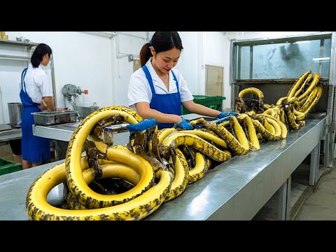 150 Most Satisfying Videos Of Workers Doing Their Job Perfectly!