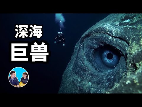 【老高与小茉】有人证，有物证，有照片，有视频，五个有记录的深海怪兽