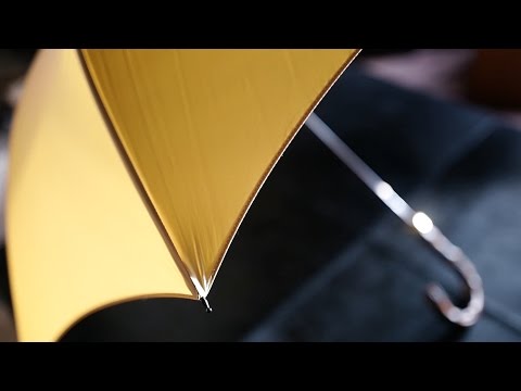 The Best And Most Stylish Umbrellas: Fox Umbrellas