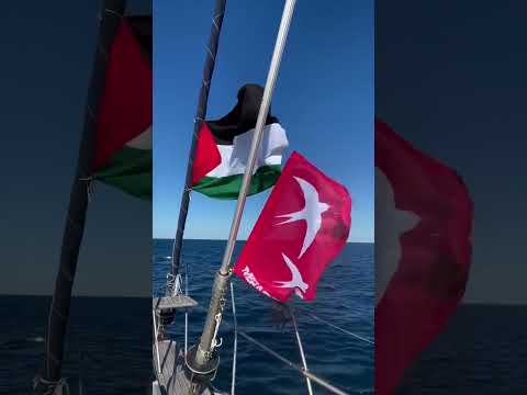 All Eyes on Gaza: All Eyes on the Madleen