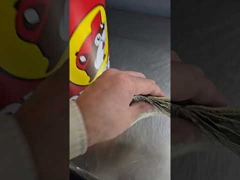 How Much $$$ Did My Vending Machines Make ?