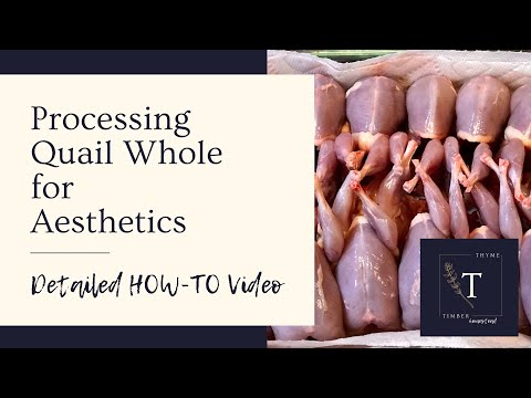 How to Process Quail Whole: Detailed Guide for Beginners