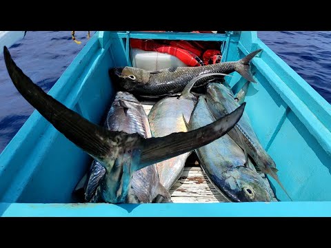 3hrs lang Puro Malalaki Bakbakan sa Bahura | Catch and Sell