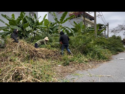 🔥 Shocking! Locals Helpless as a Sidewalk Turns Into a Jungle — We Cleaned It Together! 🌿😱