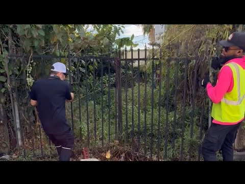 This lady is being fined by the city for this but is it her responsibility? 