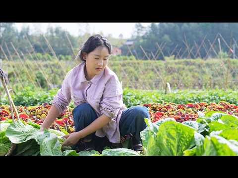 Pickles | It is a rural people's habit to preserve food by using extra vegetables to make pickles.