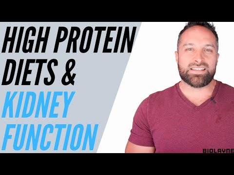 High Protein Diets & Kidney Function
