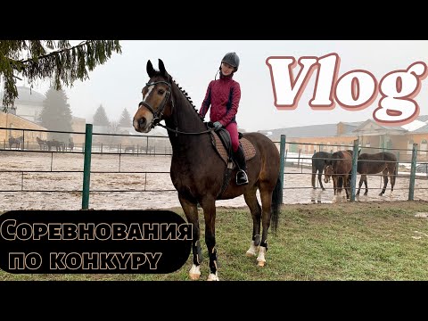 ДОМАШНИЕ СТАРТЫ В ХШН.Мои первые 100 см🥕Конный колледж 🐴 Хреновская Школа Наездников