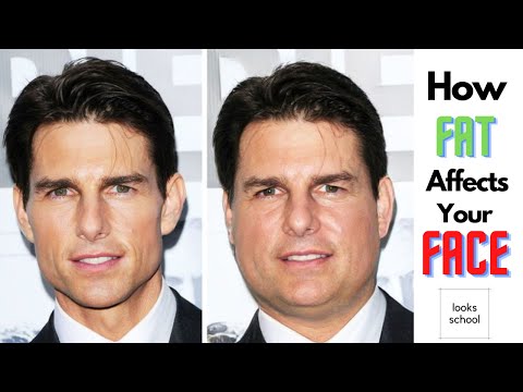 How Facial Fat Affects Your Facial Attractiveness