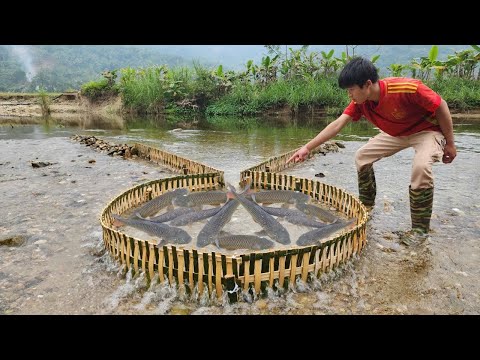 The method of fishing with bamboo proved surprisingly effective. The boy caught a lot of fish.