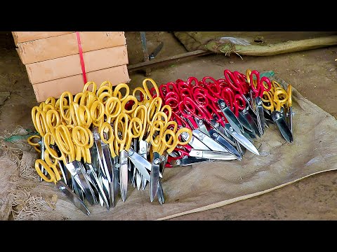 How Quality Scissors Are Made