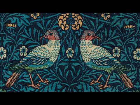 Screensaver for Your TV   Birds of a Thread