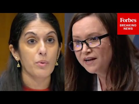 'Can Men Get Pregnant?': Ashley Moody Does Not Let Up On Democrats' Witness