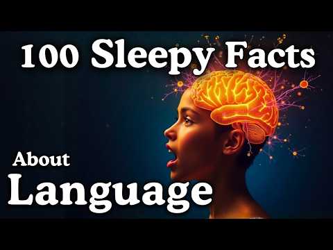 The Most Relaxing Facts About Language to Fall Asleep To