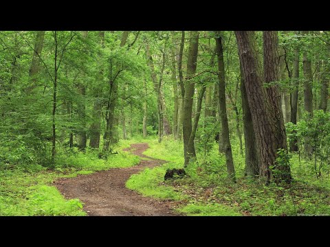 2025.12.19 새벽기도회