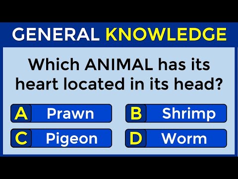 How Good Is Your General Knowledge? Take This 30-Question Quiz To Find Out! #challenge 187