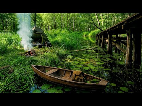 Alone on an island between rivers - lonely camping in the wild ASMR