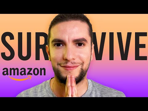 Former Amazonian Reveals HOW TO Thrive, not just Survive At AWS