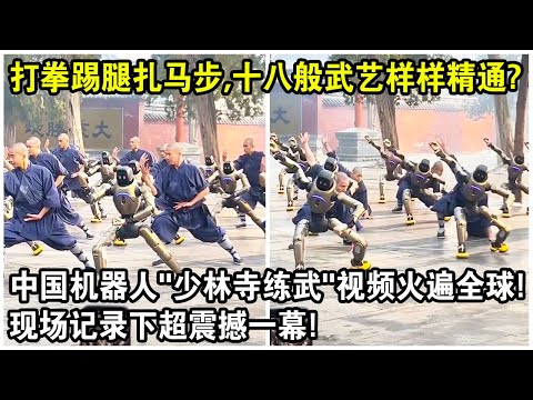 打拳踢腿紮馬步，十八般武藝樣樣精通！中國機器人“少林寺練武”視頻火遍全球！現場記錄下超震撼一幕！