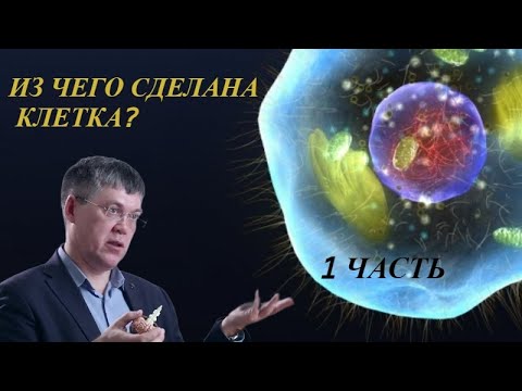 Наука и Сон: Общая биология. Строение клетки (1 часть)