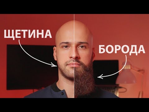 From stubble to shovel: how your beard affects your life