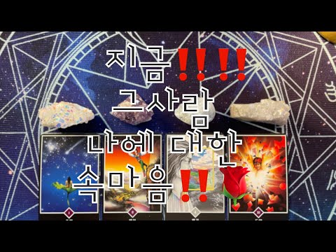 ☆타로- 🌹지금‼️ 그사람 나에 대한 속마음🌹