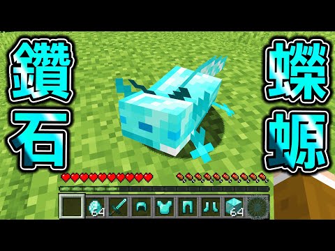 Minecraft 鑽石蠑螈！能【改造蠑螈】獲得最強能力生存，無限礦物！最強金屬【獄髓蠑螈】能夠..？｜全字幕｜當個創世神【阿斯asu】