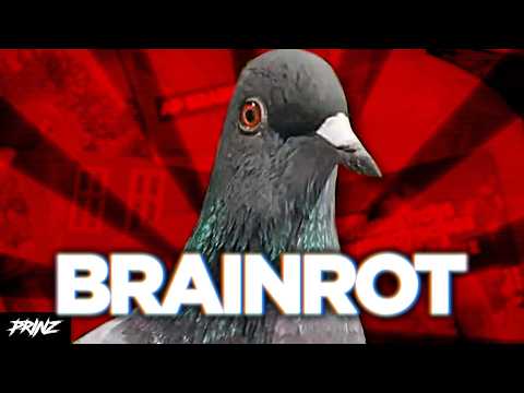 Das Internet wird dümmer..