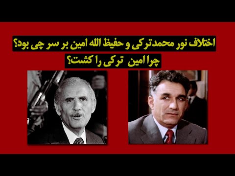 اختلاف حفیظ الله امین و نورمحمد تَرَکی بر سر چی بود؟