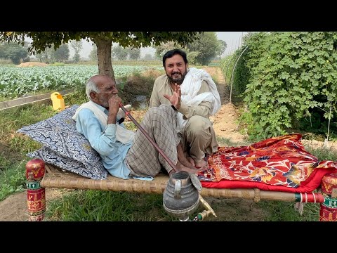 105 Saal de baba g | Zindagi di kahani | Baba Allah Ditta life story | Anjum Saroya