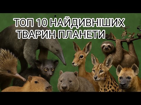 Неймовірно, але вони існують! 10 найдивніших істот на планеті😱