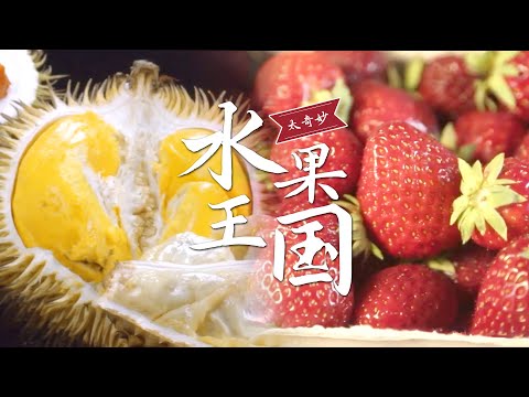 榴莲风味之旅：浓郁的香味和奶油般的口感，让它称霸水果王国！探索这个亚洲宝藏水果 | 腾讯视频 - 纪录片