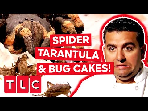 Buddy's GIANT Spider Tarantula & Bug Cakes! | Cake Boss