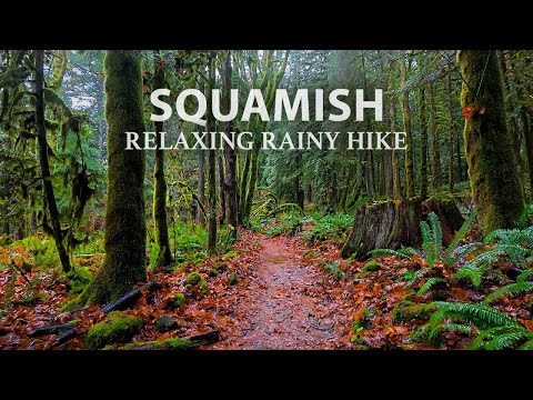 Relaxing & Mellow Rain Hike in Squamish, BC, Great for Sleep, Study & Meditation.
