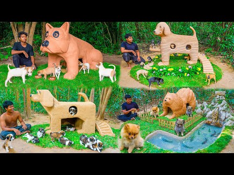 Building Amazing Puppy Houses in the Jungle! 🐶🏡 LIVE | Cute Puppies & DIY Dog Shelters