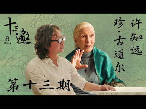【十三邀第八季 Thirteen Talks Season8】第13期：许知远对话珍·古道尔 | 相信希望，继续战斗