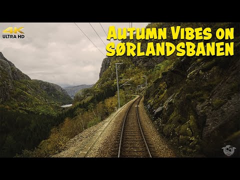 Want To See NORWAY's Stunning Autumn Colors From The Driver's Seat