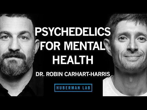 The Science of Psychedelics for Mental Health | Dr. Robin Carhart-Harris