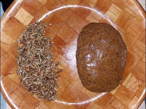 طريقتي في إزالة نواة التمر أو الغرس في لحظات